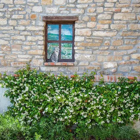 Relais Borgo Sambui - Casa Vacanze - Relax Εξοχικό σπίτι